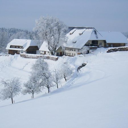 Brosihof Apartment Erlenbach  Exterior foto
